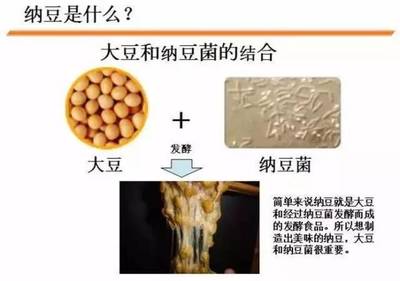 纳豆,凭什么被日本皇室奉为 “御用营养品”?