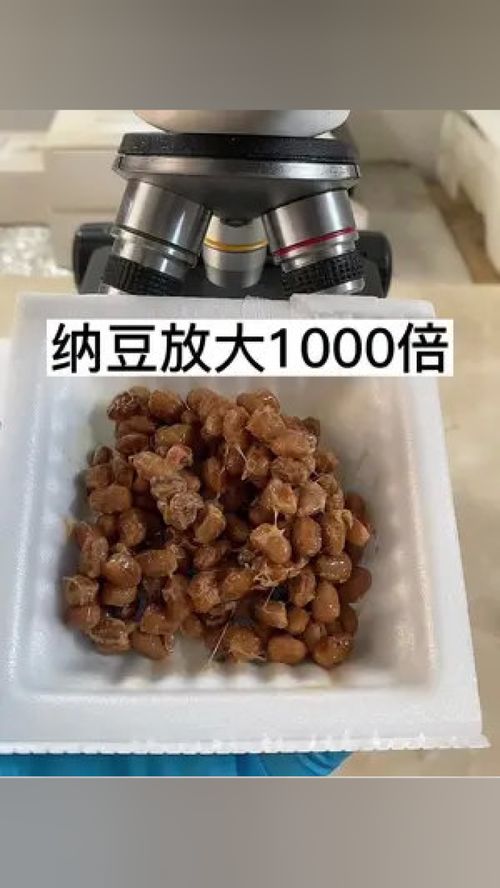 你们爱吃纳豆吗