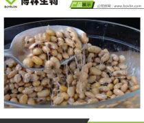 纳豆红曲作用|博林生物|纳豆