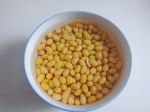 小葱纳豆的做法,小葱纳豆怎么做好吃,小葱纳豆的家常做法 鱼眼中的爱