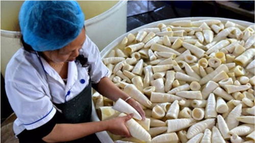 农村这种东西,以前被拿去喂猪,如今却成了餐桌上的一道美味