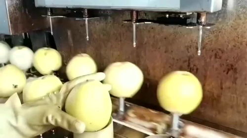 鲜榨梨颗粒浆,全部优选一级鲜梨榨取,这工厂食品放心了