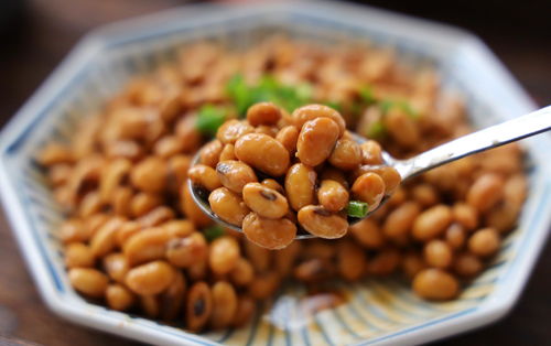 自制纳豆,营养丰富,软糯拉丝,老人孩子都爱吃,做法超级简单 黄豆