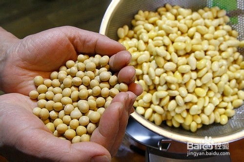 如何制作出美味而且能拉出丝来的纳豆