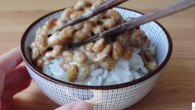 日本小粒纳豆试吃