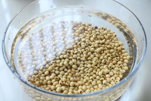 自制纳豆,营养丰富,软糯拉丝,老人孩子都爱吃,做法超级简单