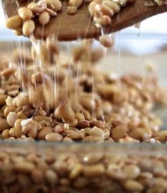 这些臭臭的食物,对身体竟然有着意想不到的功效