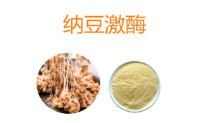 纳豆激酶 纳豆中的健康宝藏