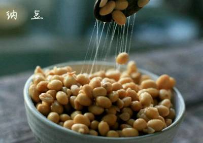 纳豆 发酵豆制品的营养宝库