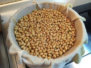 堂妈教你做纳豆 家常简易做法，健康美味轻松上手