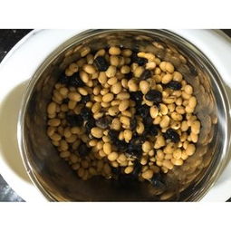 纳豆与遥蓝乐园 从崛起到爆红的创作轨迹全回顾