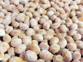 自制纳豆 探索风味与健康的独家秘方